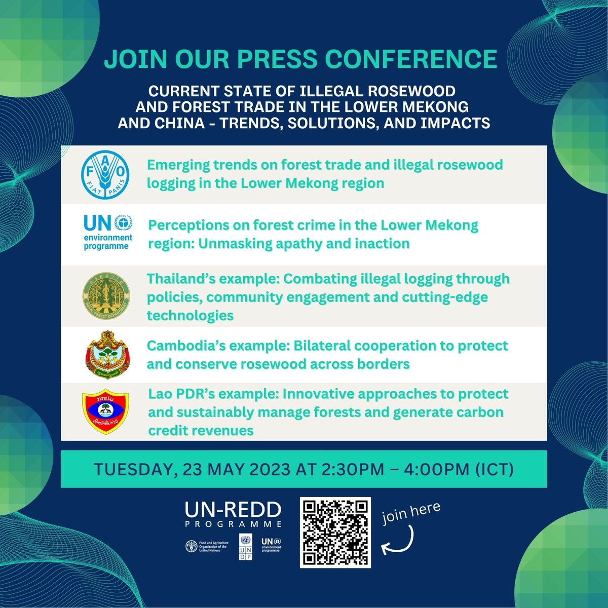 UN-REDD Programme tweet media