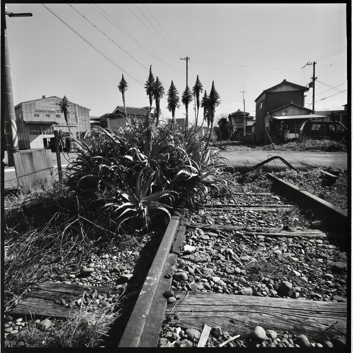 shuvaper's tweet image. 和歌山・御坊界隈　過去写真
#HasselbladSWC
#Kodak
#TMAX400
#Film