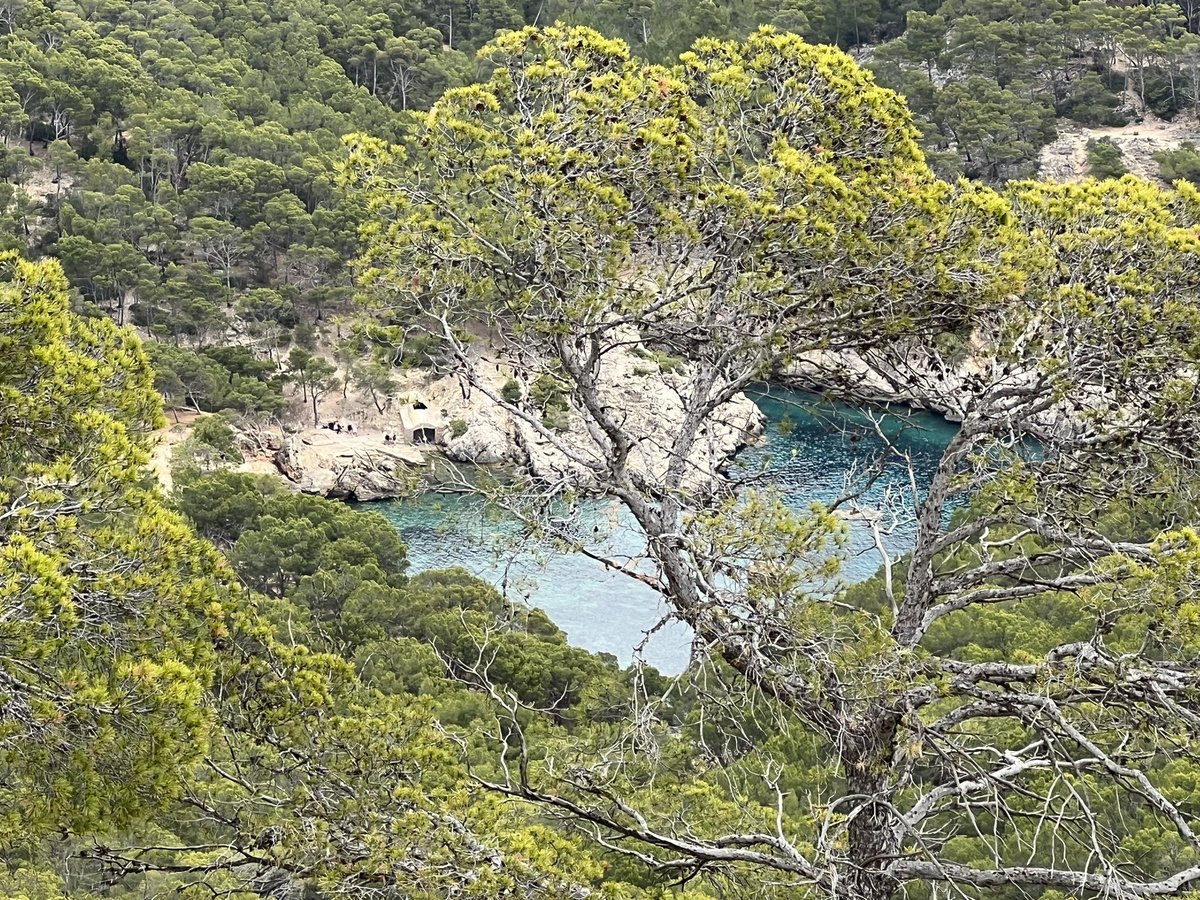 Fantastic walk yesterday in Majorca thanks to <a href="/komoot/">komoot</a>  (best app ever)