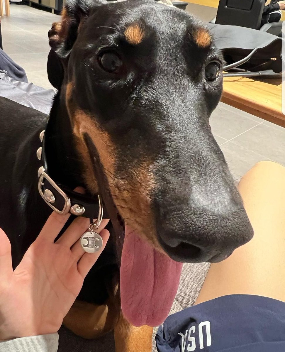 \ud83d\udc9b TheLalisa\u00b3\u00b2\u2077 \ud83d\udc9b on Twitter: \u0026quot;Even handsome boy Love has a gift from ...