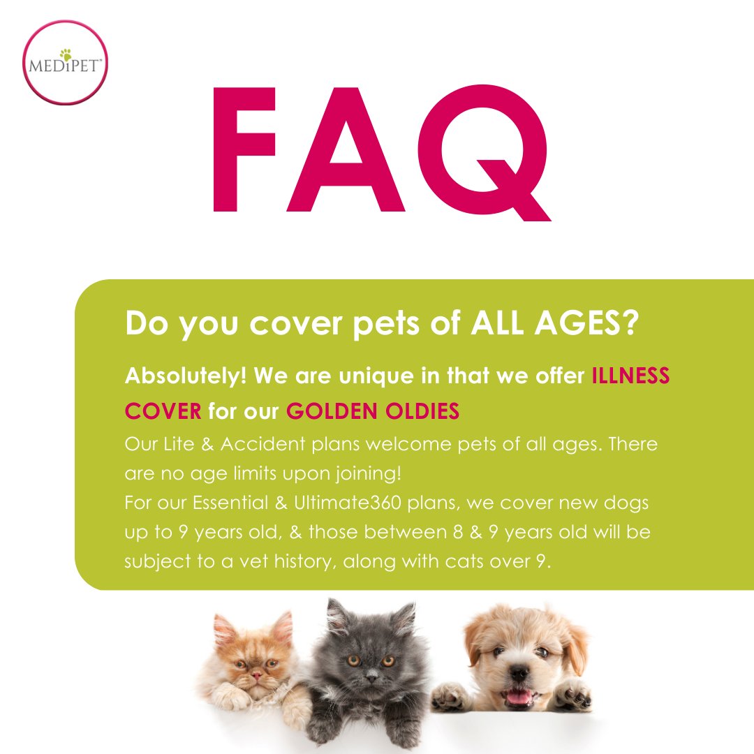 Yes! We are unique in that we offer ILLNESS COVER for our GOLDEN OLDIES 
Our Lite & Accident plans welcome pets of all ages. There are no age limits upon joining! 

#GoldenOldies #FrostyFaces #PetInsurance #PetHealth #WeLovePets #FAQ #MediPet