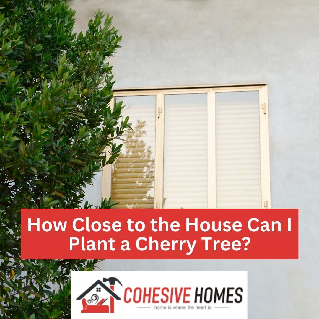 CohesiveHomes's tweet image. How Close to the House Can I Plant a Cherry Tree..? 🌲
Read More Here: cohesivehomes.com/how-close-to-t…
.
.
.
.
.
.
.
#cherrytree #howclose #cherrytreenearhouse #treenearhouse #plantingcherry