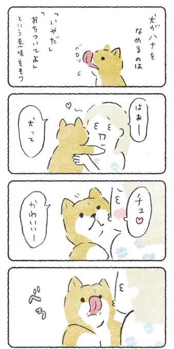 犬かわいいチュッ #キスの日  #柴犬との暮らし