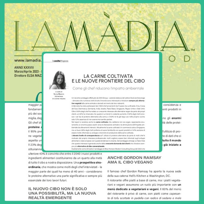 "La carne coltivata e le nuove frontiere del cibo
Come gli chef riducono l’impatto ambientale"
Articolo