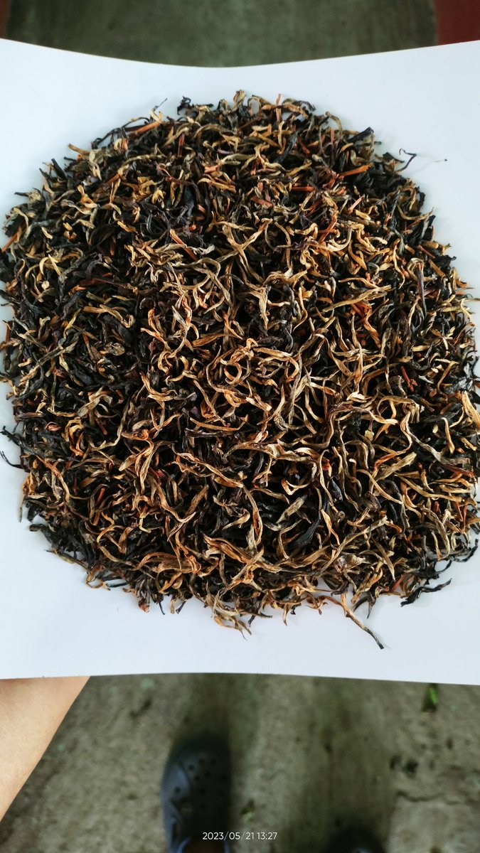 PHUKON0w's tweet photo. #Happyinternationalteaday 
#tea #assamorthidoxtea
#assamtea #goldenorthodoxtea https://t.co/J3utZ3Hvdf