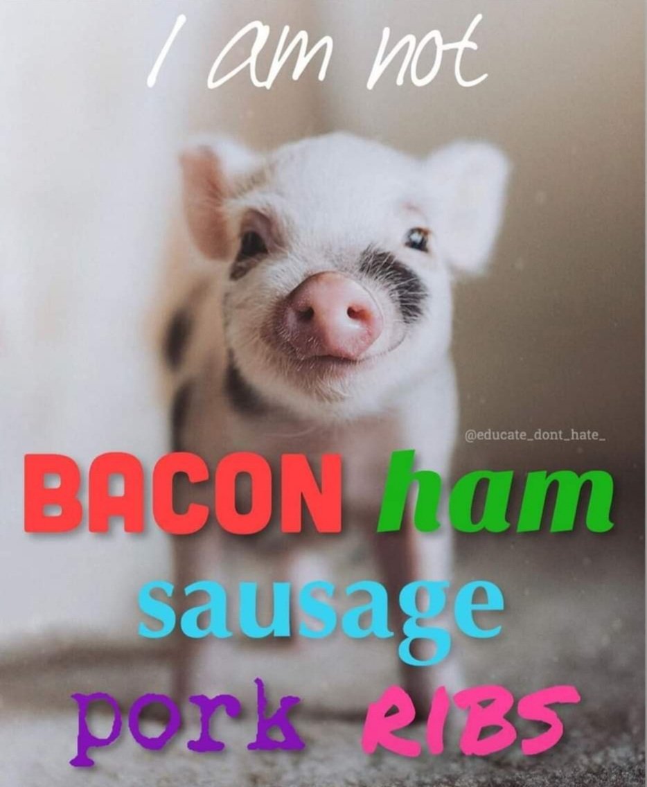 Have a cruelty free day 🐷✌

#love #bacon #prolife #bodybuilder
#ai #cosmetic #wildlife #fashion #climatecrisis #kindness #healthyfood #depression #animallover #mother #babies #milk #cheese #cow #dairyfree #diabetes #bodybuilding #health #nature #compas #hunting #birds #exvegan