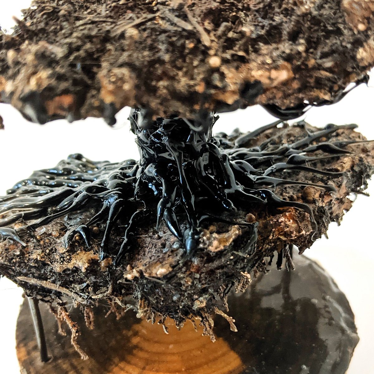 gm 🫂

Sculpture by <a href="/tuvawiden/">Tuva Widén</a>