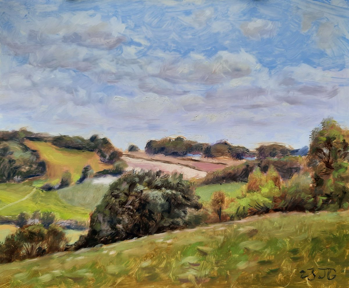 Painting from Sunday morning, looking from Fingest wood towards Bolter End. It was quite windy up there. Oil on gesso board, 20 x 25 cm.
#chilternsaonb #chilternhills #pleinair #landscapeoilpainting #landscapepainting #pleinairpainting #oilpainting #oilpaintingonpanel #artwork