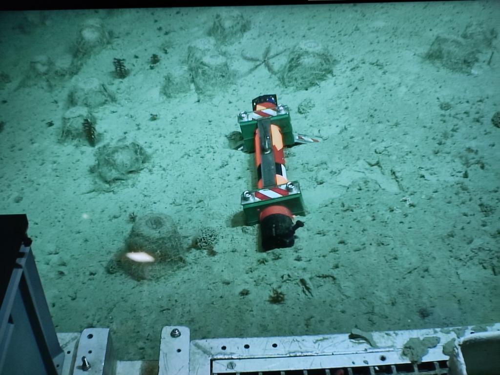Prof kerry howell on twitter first dive of the ce23010 cruise and we