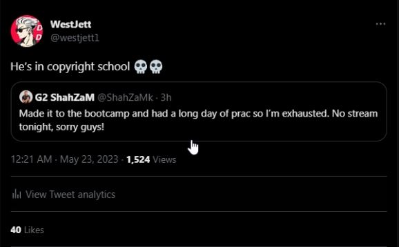 WestJett tweet media