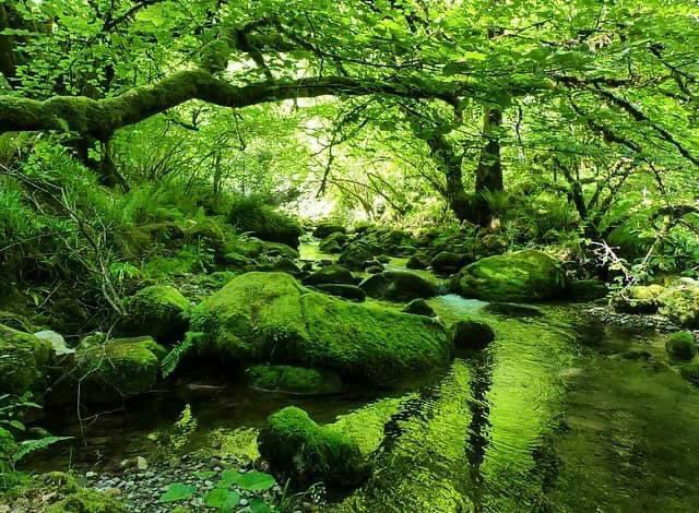 Reflejos de vida #NaturalezaViva en  el #RioDelInfierno #Piloña #Infiesto . Buenos días para tod@s.