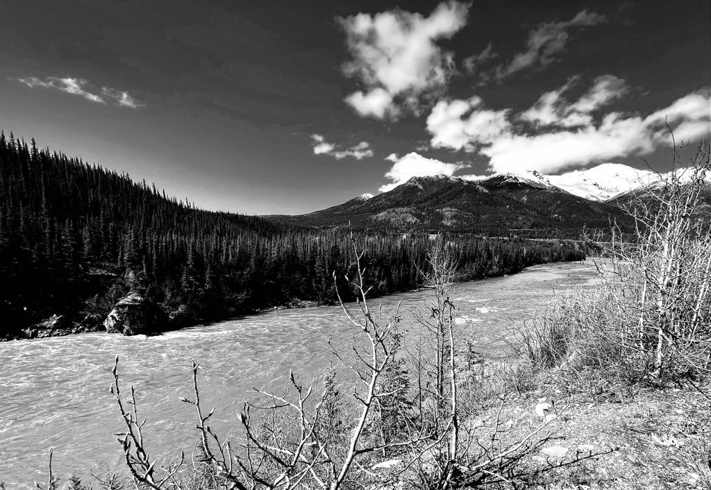 Today in Parks Hwy Travelog, north of Cantwell, Alaska.