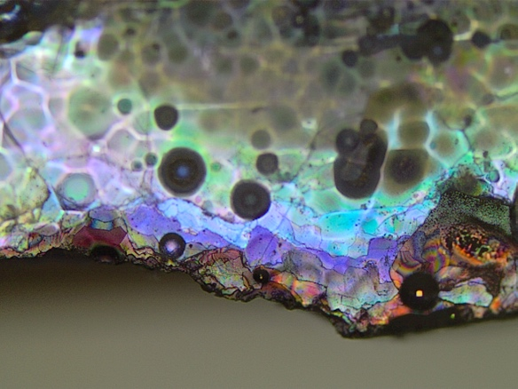 🗣️New Review release: Explore the Fascinating World of Glass Corrosion. 🔍Our comprehensive review on glass corrosion is out in #npj #materialsdegradation journal, diving deep into its glass alteration mysteries.
Click the link below to access the review📚
nature.com/articles/s4152…