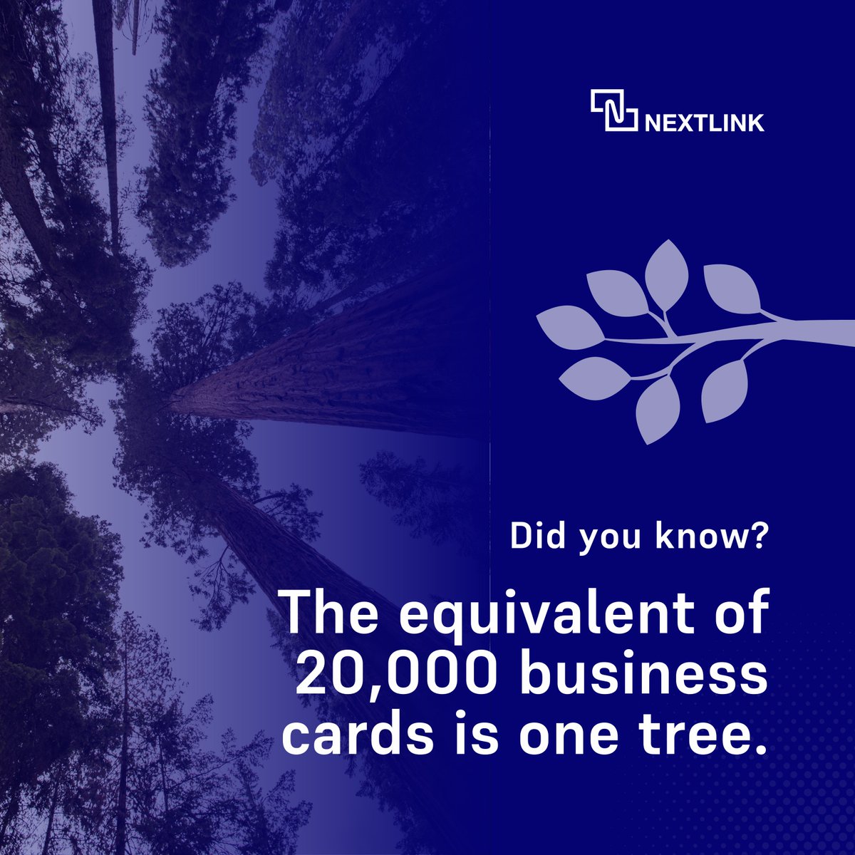 NextlinkAi's tweet image. End the tree-mendous paper waste from paper business cards—go digital!

With NextLink, you can create, scan, and exchange digital business cards and do your part for the environment 🌳🌍

#PaperlessNetworking #GreenNetworking #NextLink