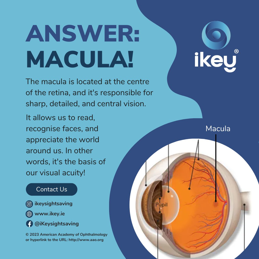 Answer to yesterday’s question: Macula!

Join us on this educational journey as we delve deeper into the captivating realm of eye health

 #ikeysightsaving #SightSaving #VisionCare #GlaucomaAwareness #EyeHealth #EyeCareMatters