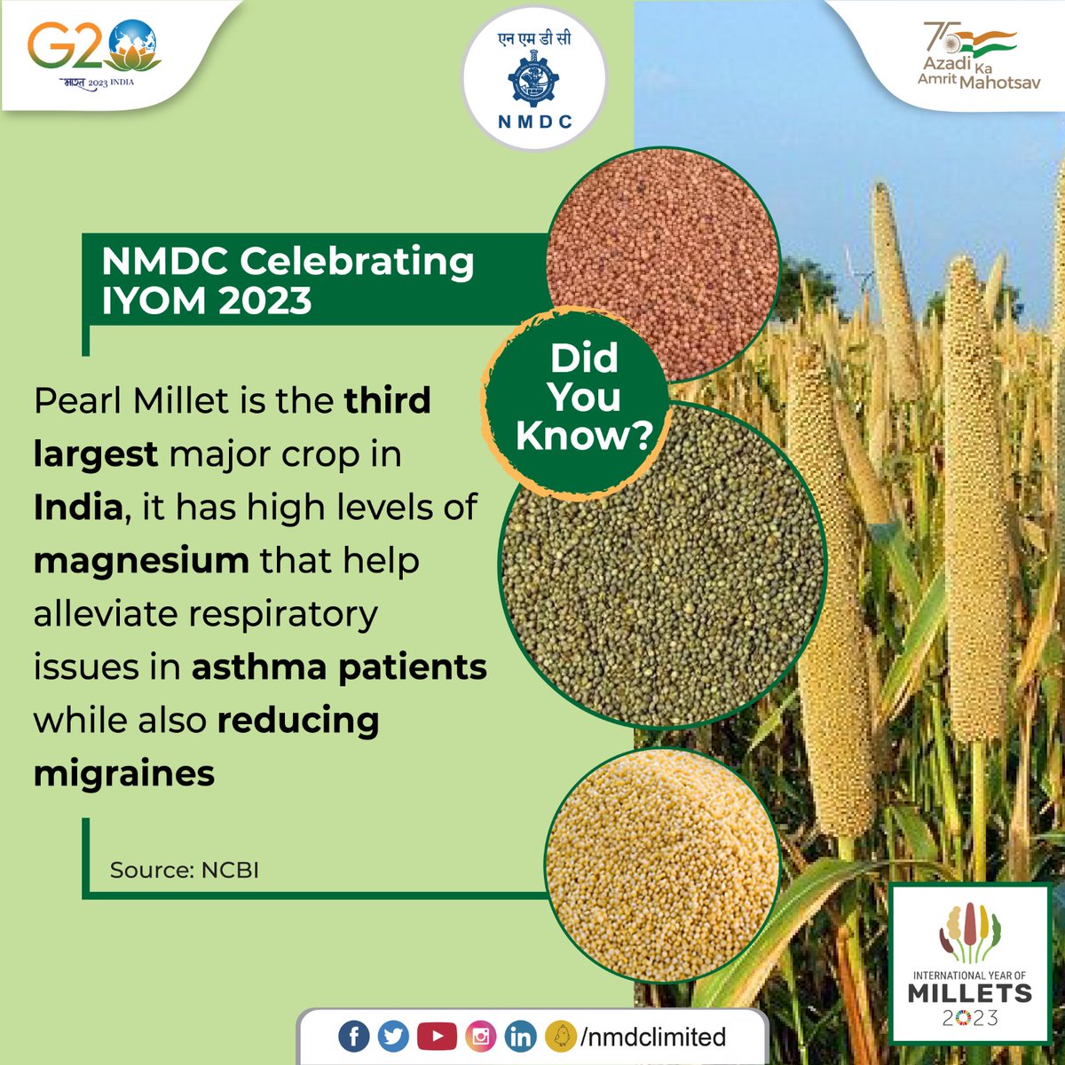 Referred to as Bajra, the pearl millet has a high amount of unsaturated fats and is rich in Omega 3 which helps in maintaining a healthy weight and aids in managing asthma.

#NMDC #Millets #InternationalYearOfMillets #Milletfacts #Bajra