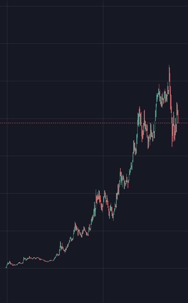 ShibaInuSwap's tweet photo. I have seen many investors saying that the bull market has just started. What do you think? 🤔 https://t.co/W6Z95RIeJb