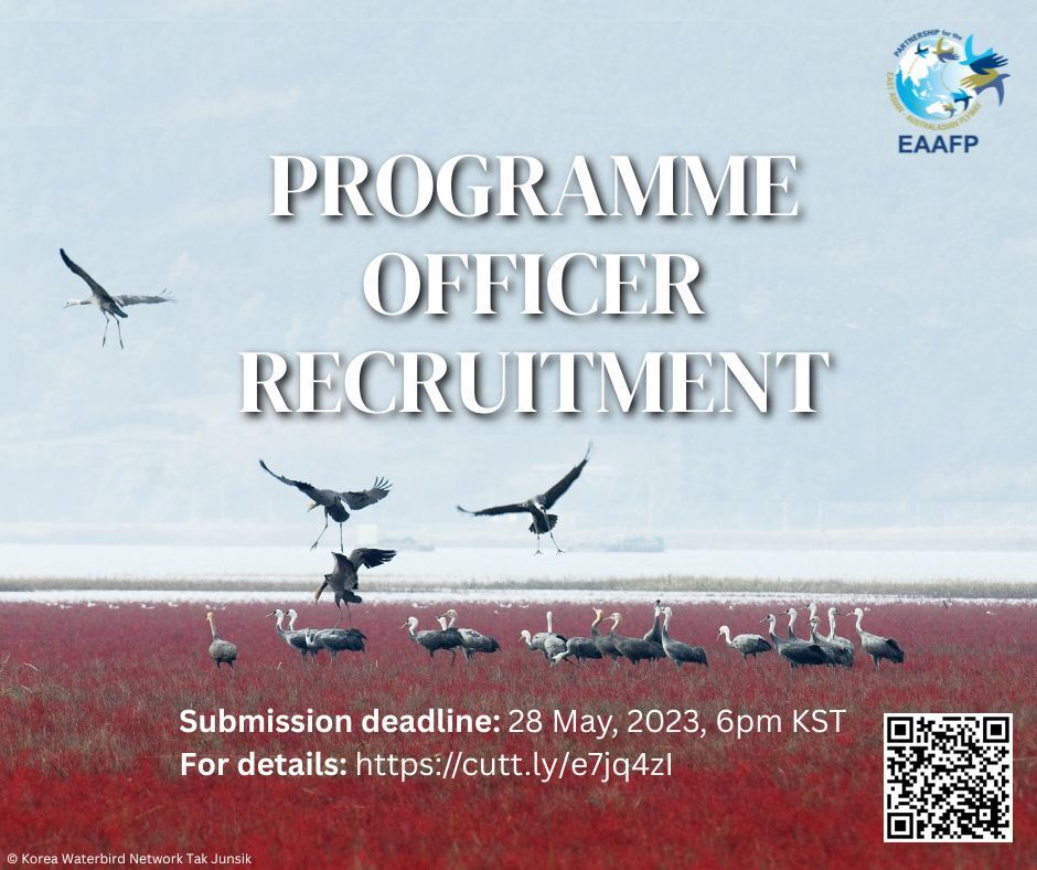 📣#EAAFPSecretariat is recruiting a Programme Officer to coordinate and develop EAAFP programme and support Partners’ activities. 
📅Deadline: 28 May 2023 6 pm (KST)
▶️To apply: Scan the QR code or visit eaaflyway.net/programme-offi…
#recruitment #job #conservation