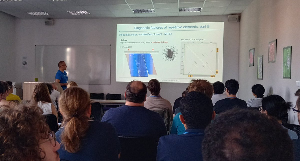 Laura Ávila Robledil tweet media