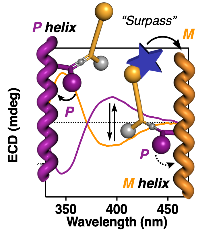 ➰ Taming the helices of helical polymers:
<a href="/felixfreirelab/">Felix Freire</a> group at #CiQUS describes a novel mechanism of helix inversion based on axial-to-helical communication.

Now published in <a href="/angew_chem/">Angewandte Chemie</a> 🔝 ow.ly/FiZ750OtFfO

Well done, congrats to the team!