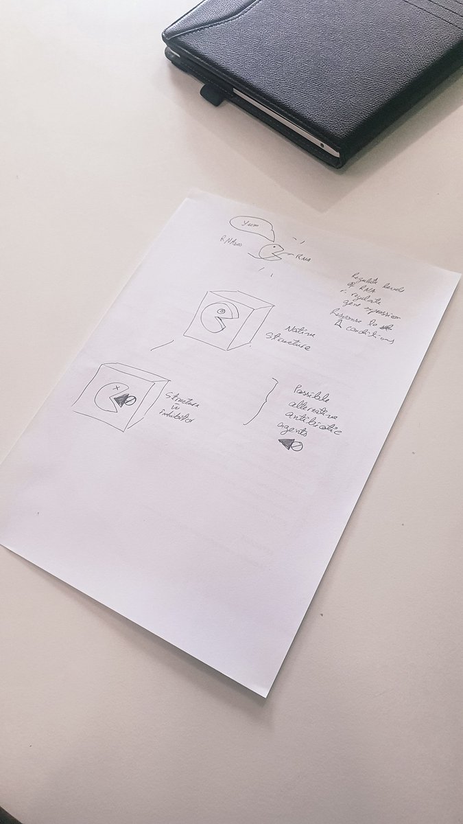 csfreitas95's tweet photo. Sweetest @romana_yanez is taking a #SciComm course at @itqbnova with me and made this lovely doodle out of my PhD project 🥰 https://t.co/6VrMBICDht