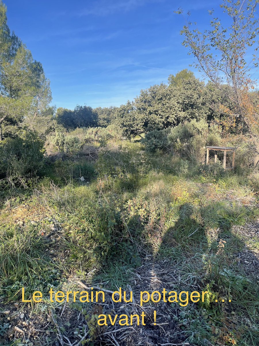 Grâce au budget participatif @ du département <a href="/Heraultinfos/">Département de l'Hérault</a>, les élèves de la 1ère pro animation ont réalisé un potager intergénérationnel ! 🍅 🥒 : le plein de vitamines et le développement de l’éco -citoyenneté. Bravo à eux !