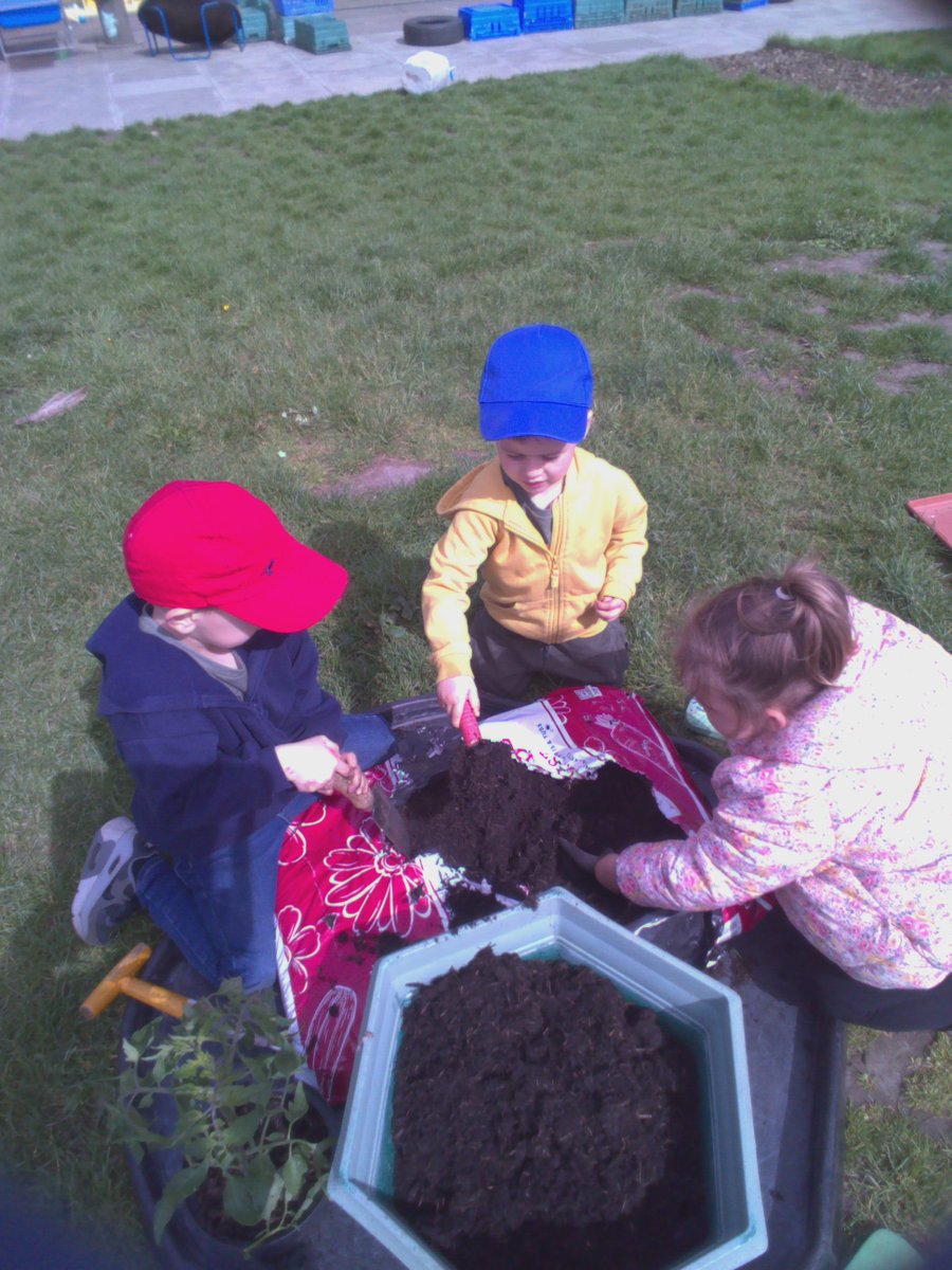 🌈🌞We were very lucky to be given tomato plants.
We planted them carefully in compost. We took some cuttings and put them in water to see what happens next. 🍅
