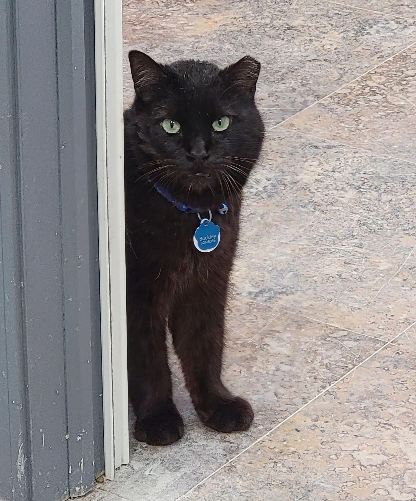 Crash's Landing (CrashsLanding) / Twitter