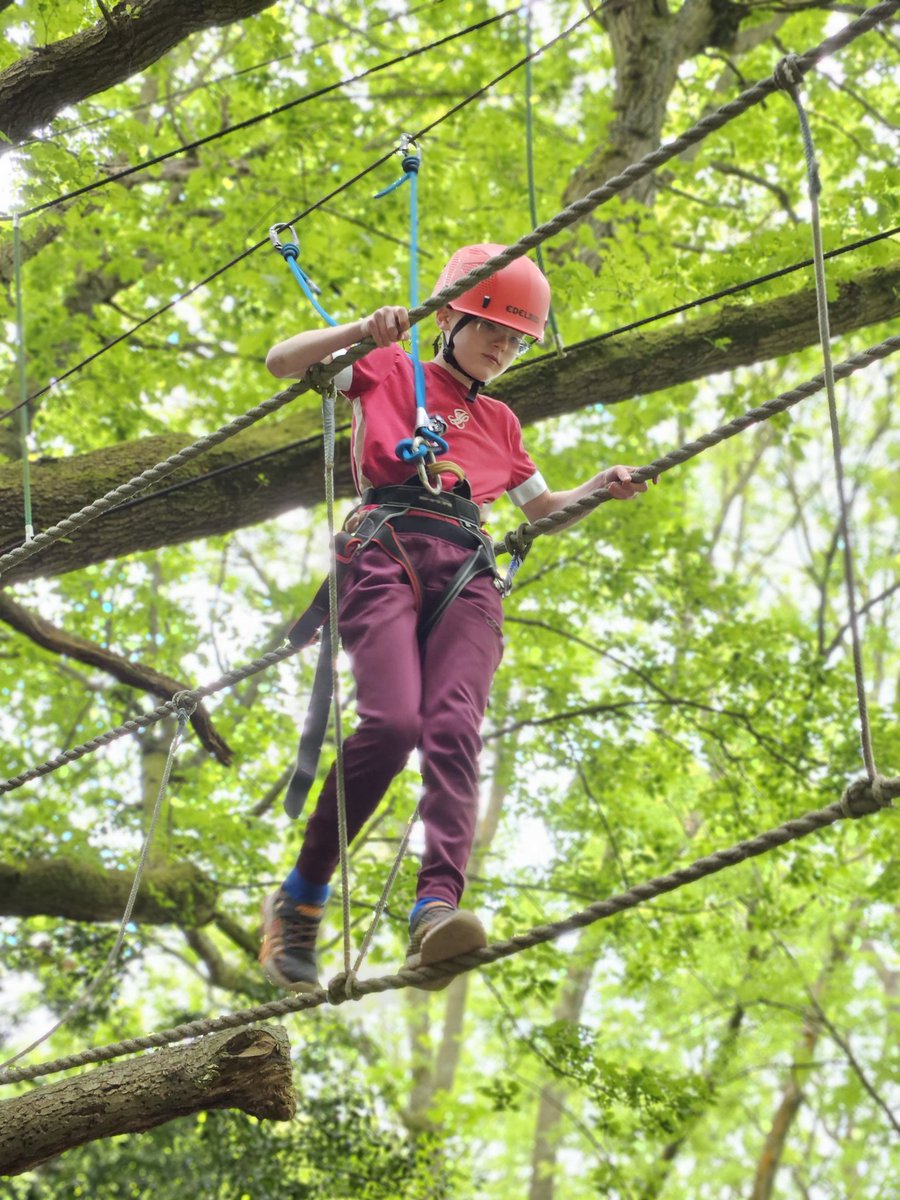 Northleigh Natterjacks tweet media