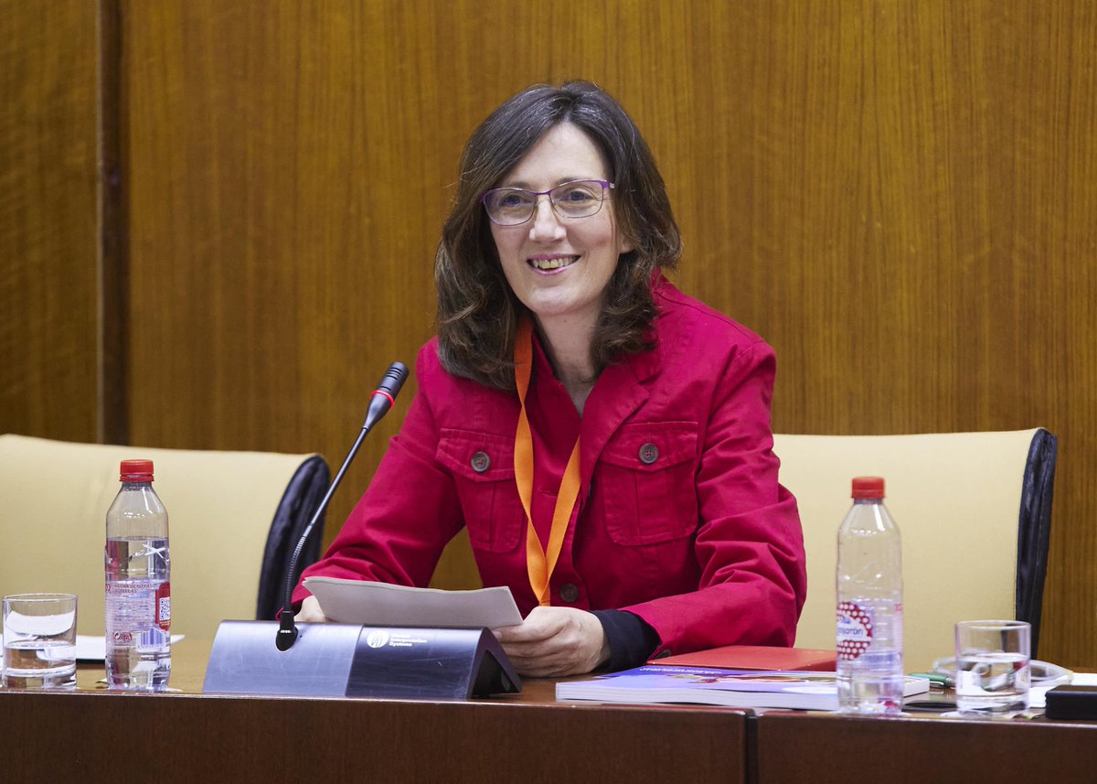 MSPE_Andalucia's tweet image. Imagen de la presidenta de #MSPE en el @ParlamentoAnd durante la exposición de nuestras propuestas en la Comisión de Infancia y Adolescencia esta mañana. Buscando #equidad. #familiasmonoparentales son #familiasquecuentan: cada vez más.