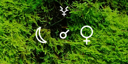 Aeonbird's tweet photo. Moon conjunct Venus #astrology #livetransit https://t.co/KBaN54Zilc