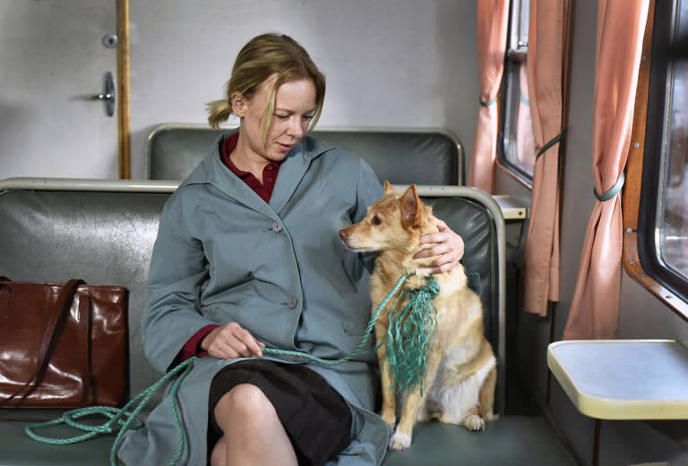 #LesFeuillesMortes
L’amour comme  antidote à la misère, la dépression et la guerre.
Sous influence de Chaplin, le nouveau miracle Aki Kaurismäki.
Palme dog direct au chien.
#Cannes2023