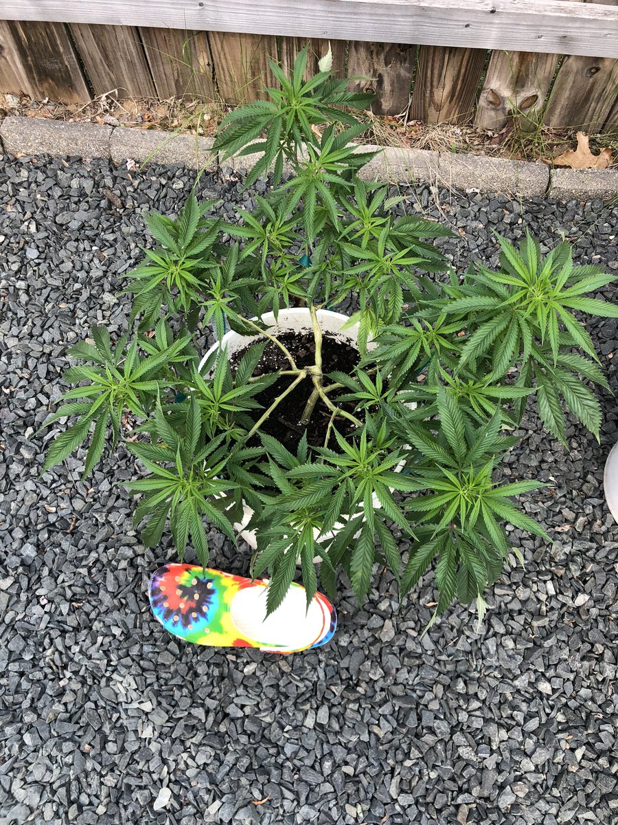 Harvesting in October