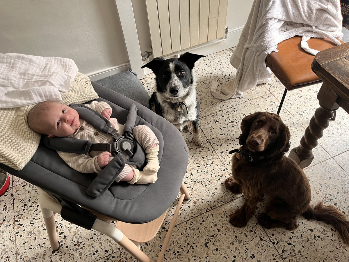 Phil Emmerson tweet media