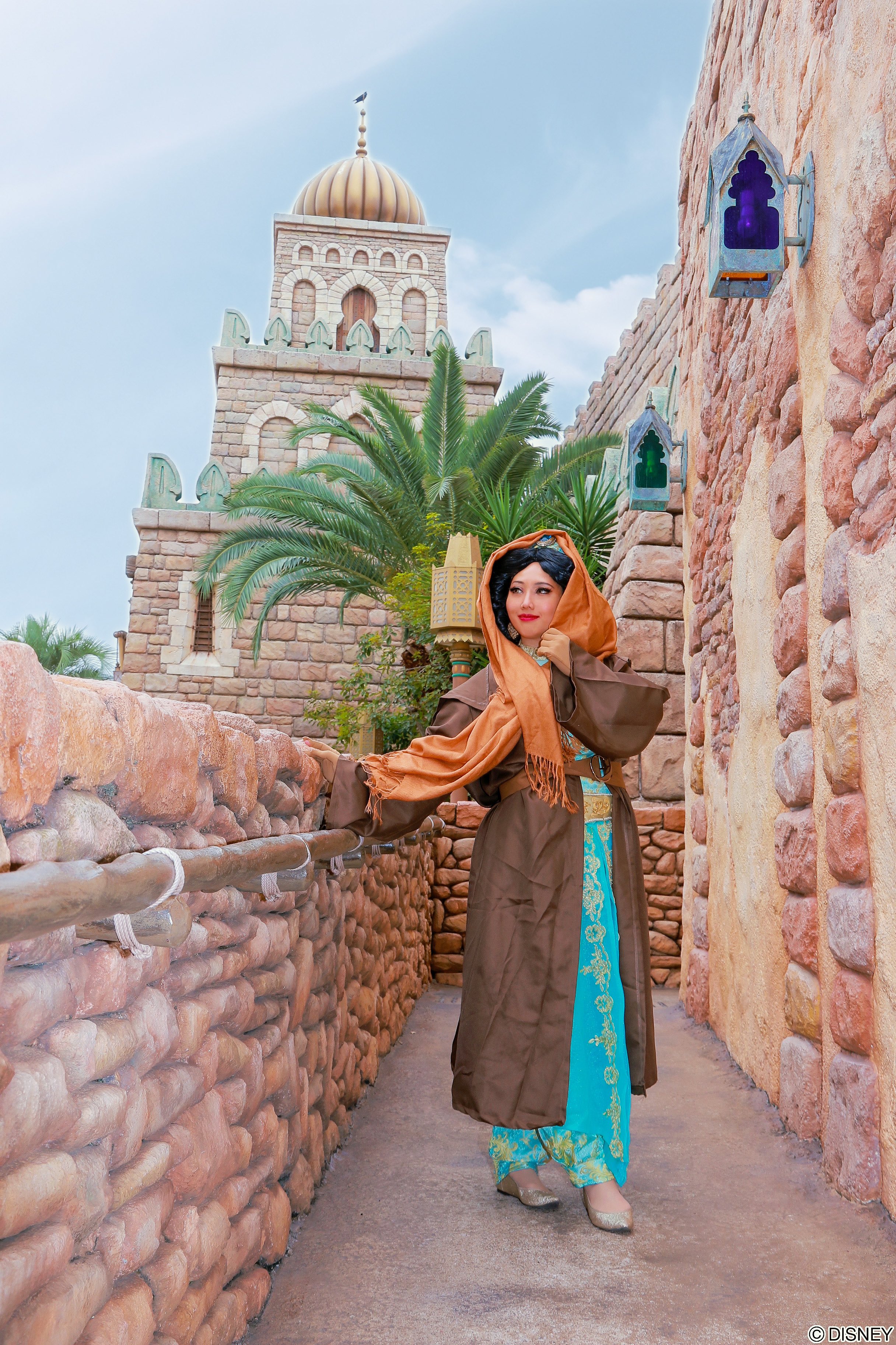 アラジン　ジャスミン　⭐︎さんへ ヨドバシ.com - やのまん YANOMAN 97-275 プリズムプチ