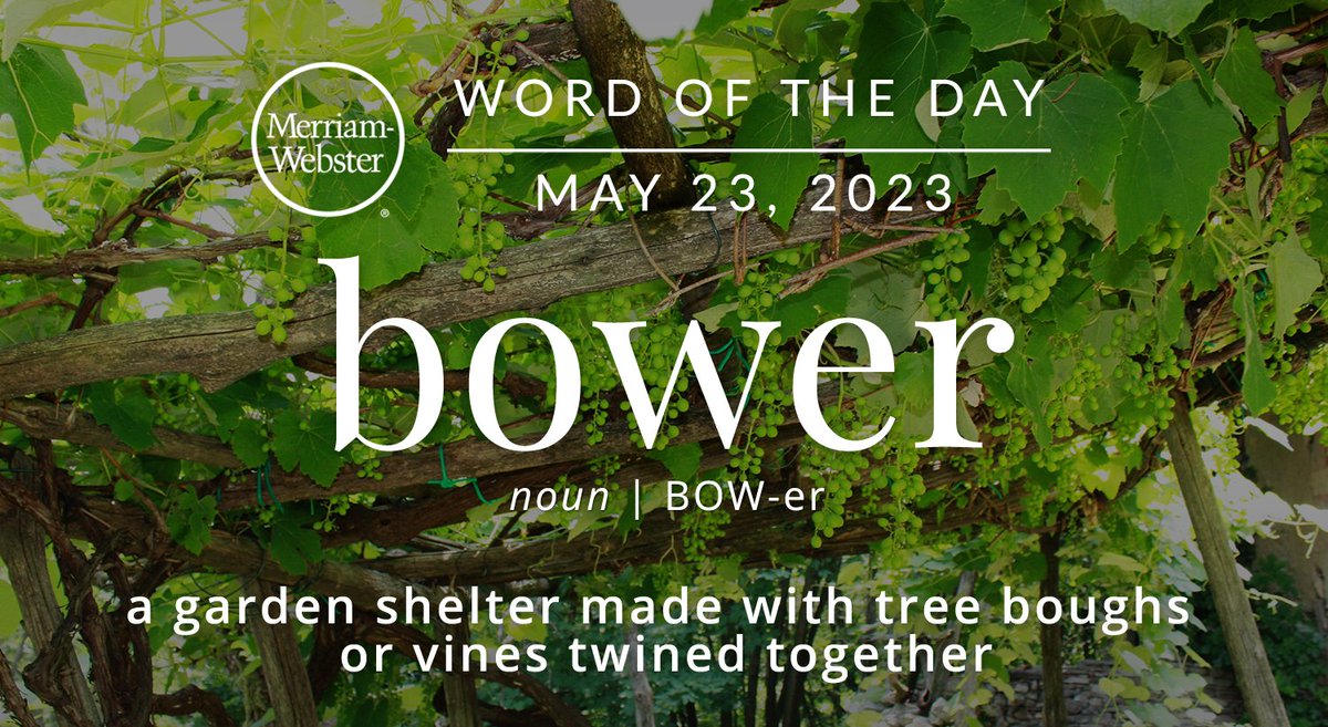 The #WordOfTheDay is ‘bower.’
ow.ly/MVtG50OtB2w