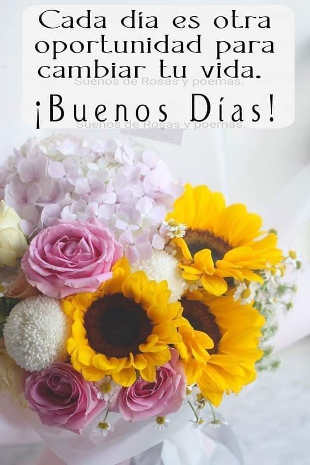 Yazmin Jimenez (@jimenezyazmin39) on Twitter photo 