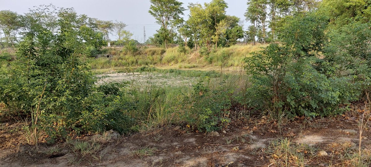 nirajkumar_db's tweet image. अमृत सरोवर योजना सभी प्रदेशों में चलाया जा रहा है। इसे धरातल पर भी उतारा जा रहा है। वहीं उत्तर प्रदेश के भाटपाररानी विधानसभा क्षेत्र अंतर्गत 
अघावं पंचायत में अमृत सरोवर के तहत एक भी काम जमीन पर नही दिखाई दे रहा है। ग्रामीणों की अपेक्षा है @narendramodi @myogiadityanath @dmdeoria