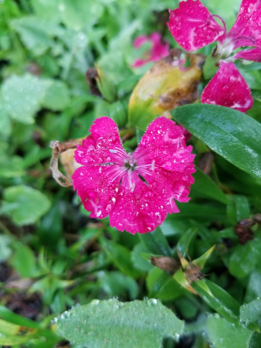 Sharing the love <a href="/TreverMcGhee/">Trever McGhee</a>