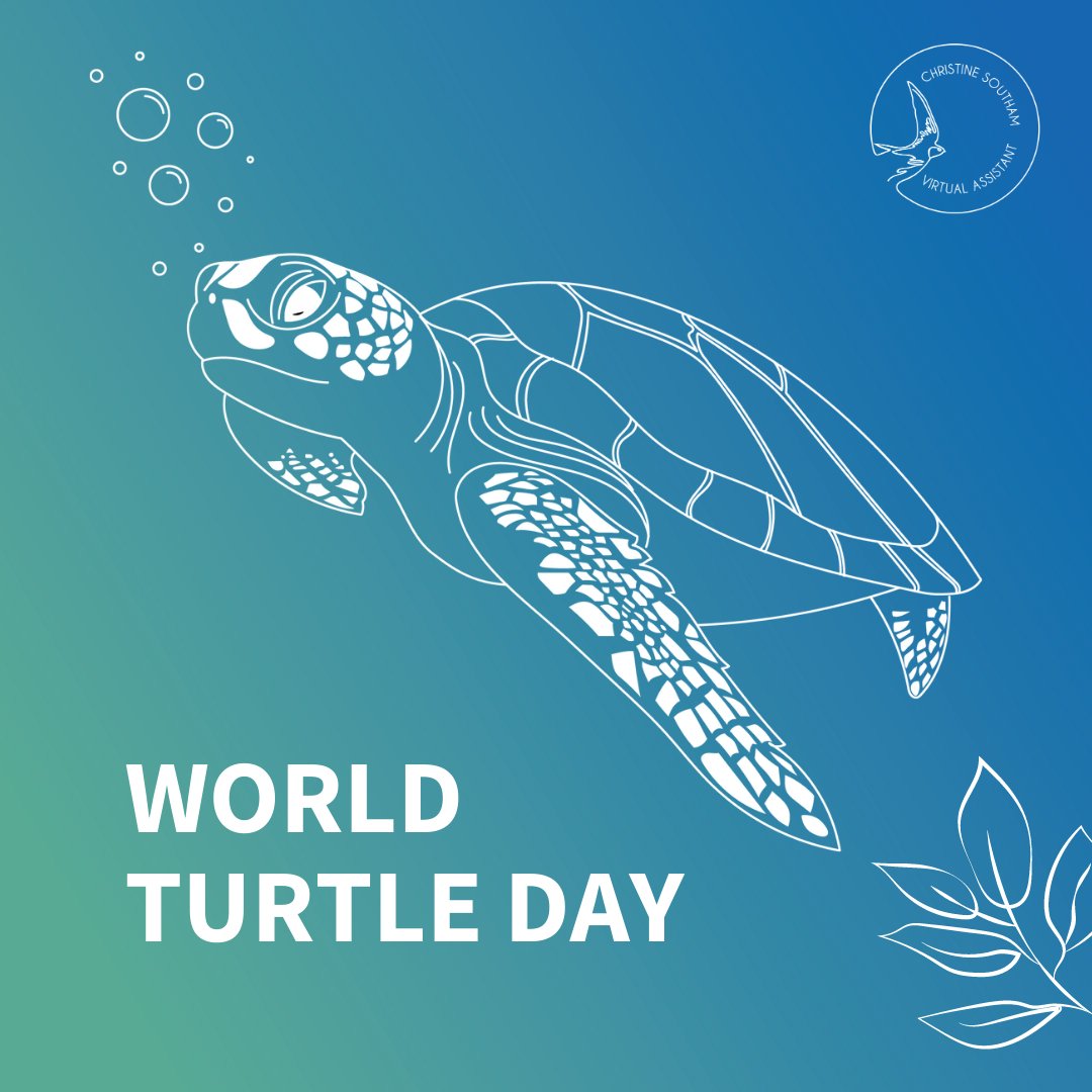 🐢Turtles are the oldest reptile group on Earth, dating back over 200 million years. 

Let's work together to protect these incredible creatures and ensure a healthy planet for future generations.
#WorldTurtleDay #marinelife #protecttheoceans