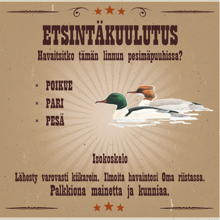 Vietätkö juhannusta laiturinnokassa? ☀️ Jos havaitset pariutuneita riistalintuja, niiden poikasia, soidinmenoja taikka pesän tänä kesänä tai ensi vuoden aikana, ilmoita havaintosi Oma riistaan. 🦆🦆🪺🐣

Ne auttavat selvittämään lintujen pesimälevinneisyyttä. #Lintuatlas
