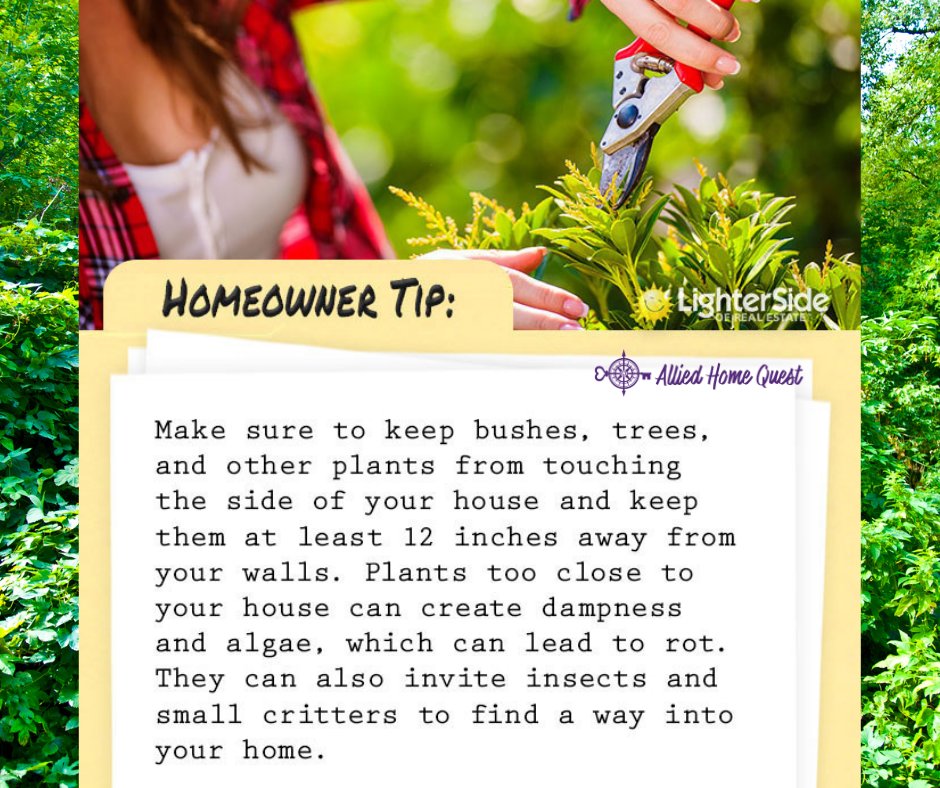 *Homeowner Tip Tuesday*

Did you know?! This is ONE Great way to care for your home! Follow me for more helpful tips and tricks! ;)

#merrycozyattheheartofmore #alliedhomequest #exprealty #fxbg #homeownertips #homecare #tiptuesday