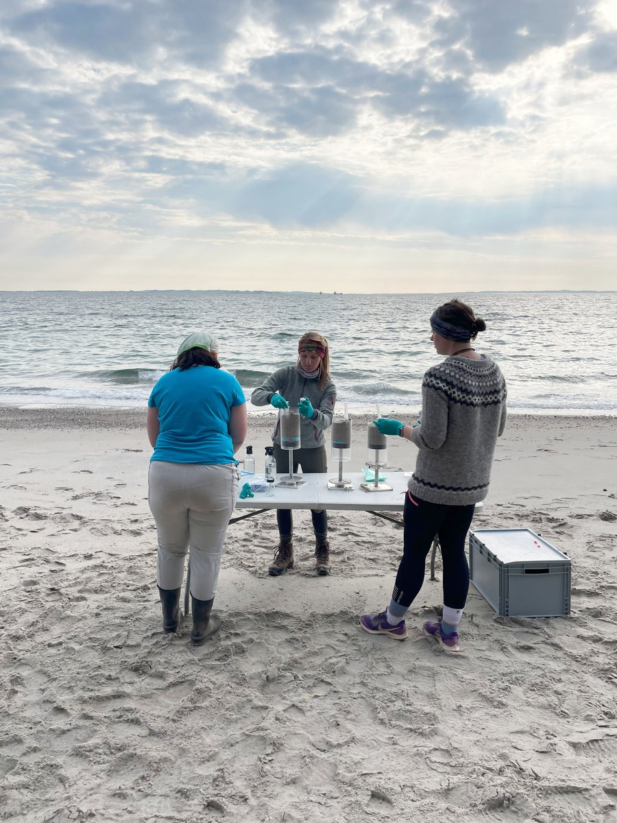 Farewell Aarhus! Next destination: Helsingør, Denmark! 🇩🇰

Have a look at the #EMBLTrec activities from the past days:
🔹meeting with the Tara crew
🔹seminar &amp; trainings
🔹and more sampling!

📸<a href="/ValerieMaier6/">Valerie Maier</a> / <a href="/TinaEnd/">Tina Enders</a> / Kerstin Leberecht / EMBL

<a href="/embl/">EMBL</a> <a href="/TaraOcean_/">Fondation Tara Océan</a> <a href="/EMBRC_EU/">EMBRC (European Marine Biological Resource Centre)</a>