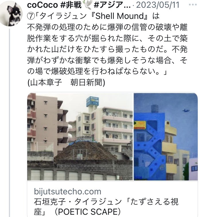 coCoco69494006's tweet photo. @OTVhoudou01 @Ryudai_Jinsha 日常風景に現れる戦争
今も爆弾の山に住む
山本章子
#タイラジュン
#ShellMound https://t.co/T9OEK5COTs