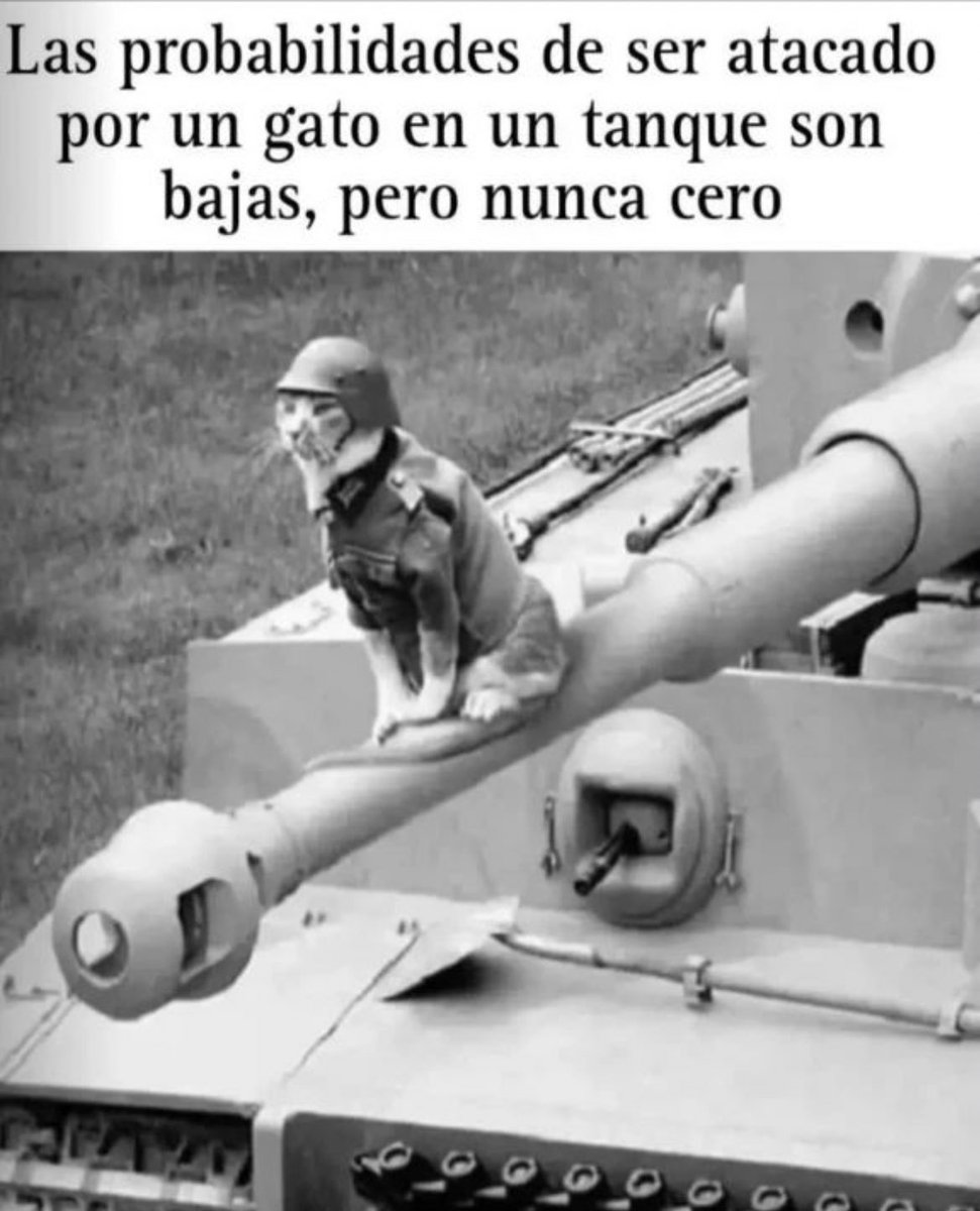 alba__pc91's tweet photo. Te puede lanzar un… michil 🙄 https://t.co/AsFnYH6lzK
