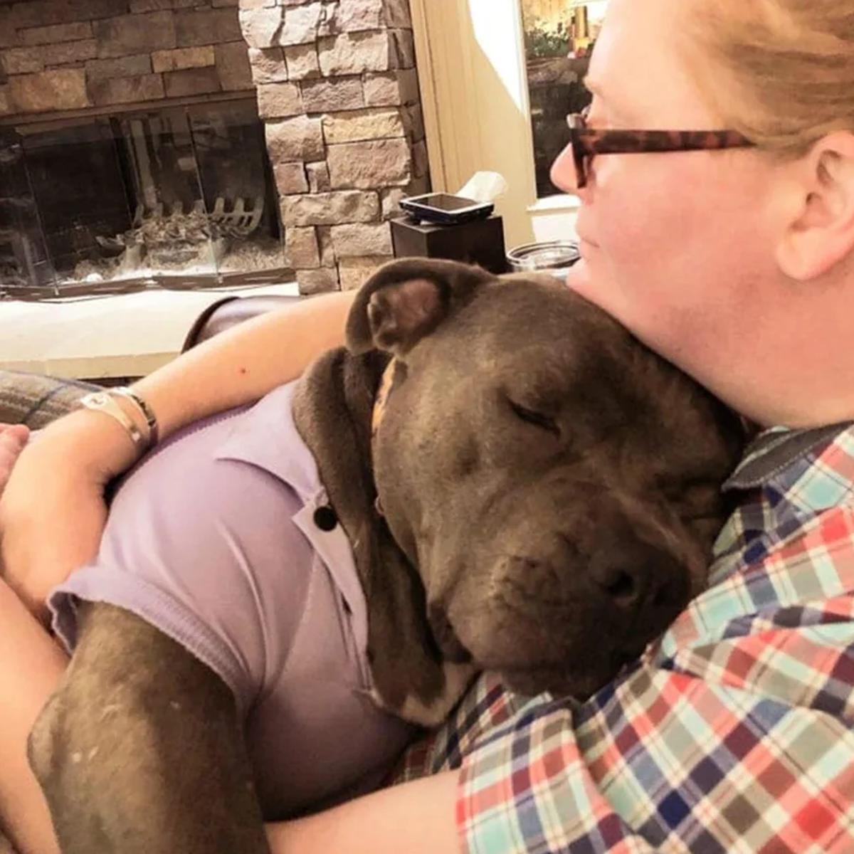 HeraldWeekly's tweet photo. See heartwarming photos of dogs getting rescued from the shelter and their reaction after realizing they have a new family to care for them