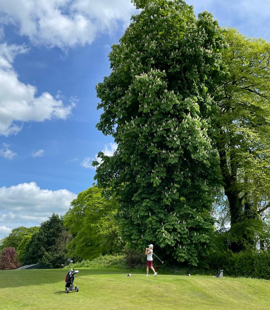 MOATE GOLF CLUB tweet media