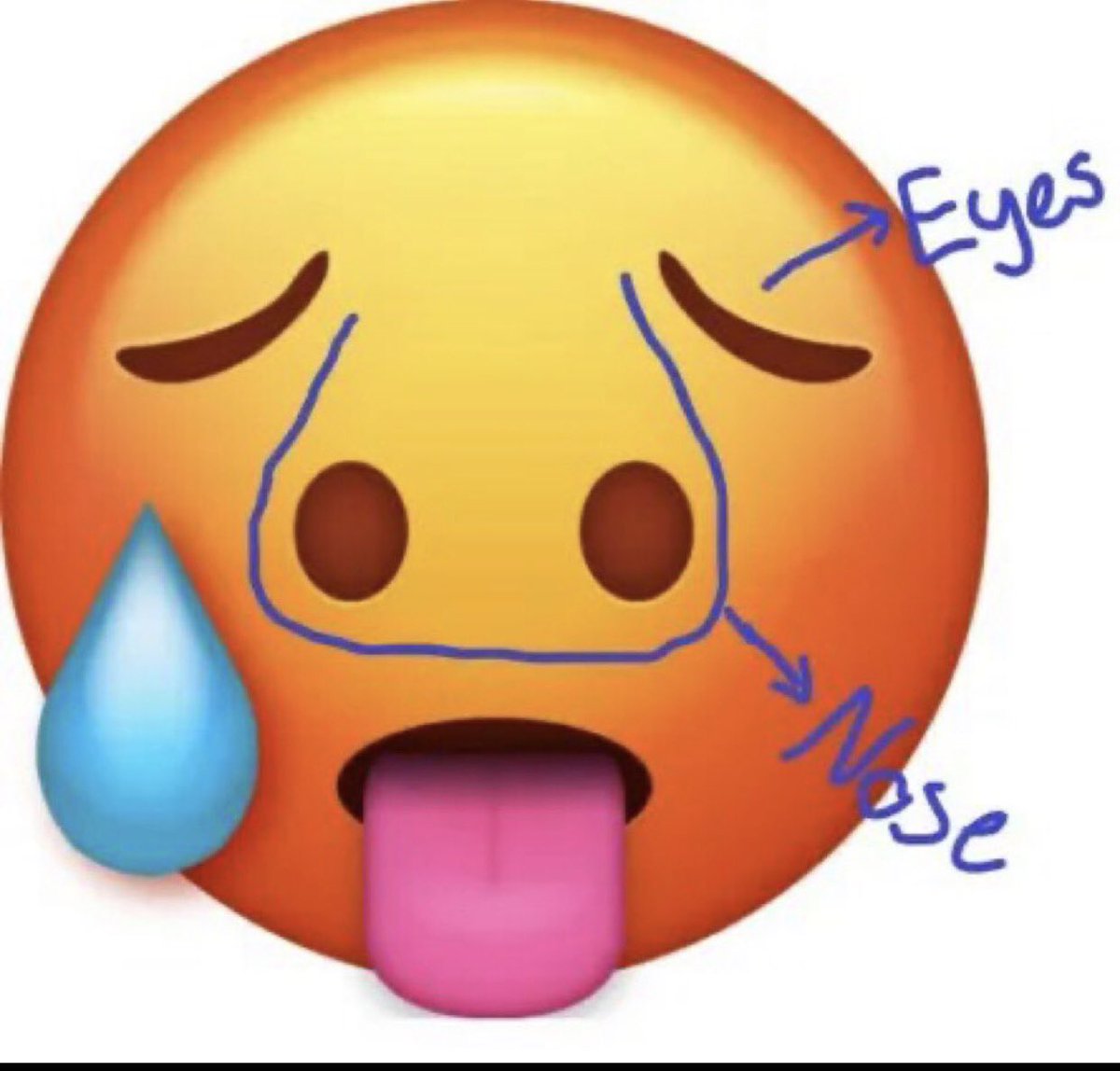 wizardsnation16's tweet photo. Why can’t I see this emoji like before 😂😂🥵 https://t.co/hyPiR4GYci