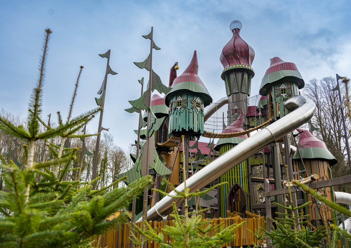 Matthew Henderson tweet media