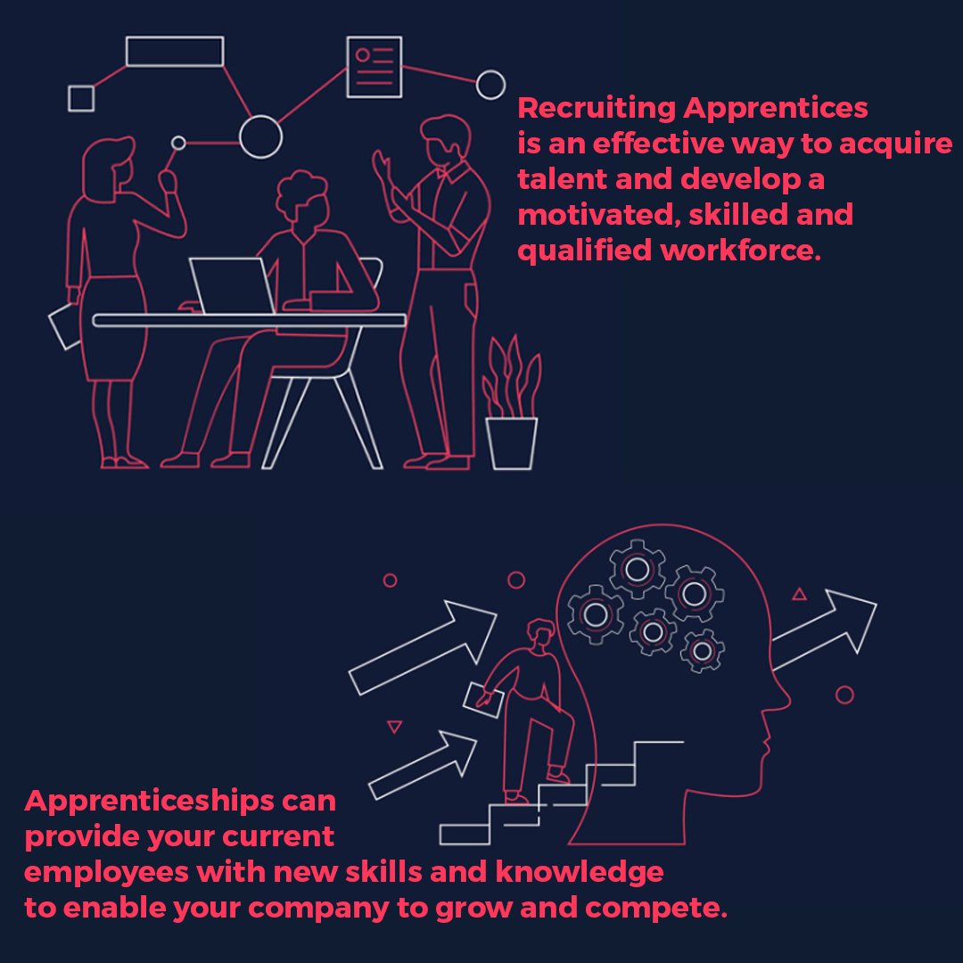 Looking to attract new talent into your business or develop current skills within your company?
Apprenticeships are a great way to learn skills whilst on the job. Giving the individual invaluable work experience and recognised qualifications in the industry.